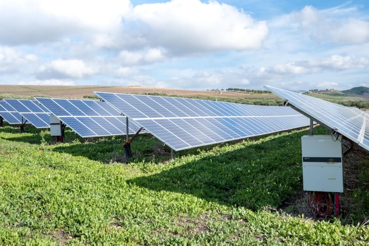 Agrivoltaics: Growing Food Under Solar Panels Without Sacrificing Yields