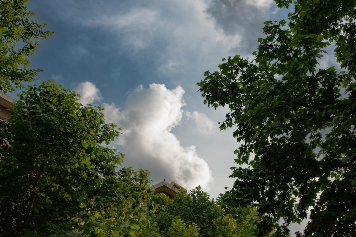 The “Two‑Minute Nature Break”: A Tiny Outdoor Reset That Calms Your Nervous System